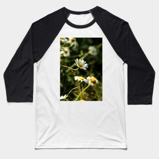 Chamomile Baseball T-Shirt